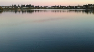Pink_on_lake